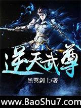 逆天武尊